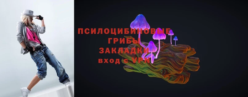 где найти   Ардон  Галлюциногенные грибы Magic Shrooms 